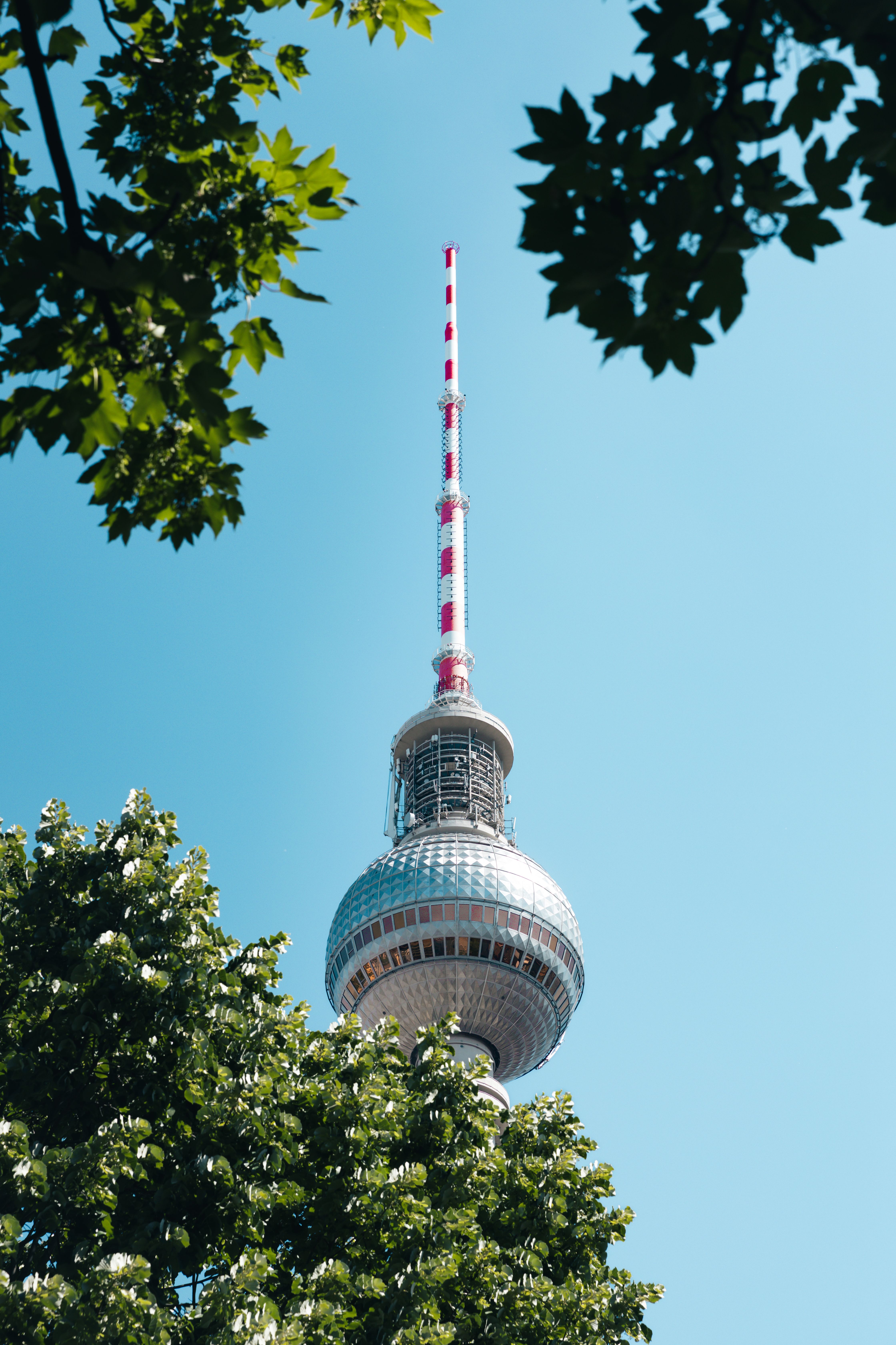 Bild 8